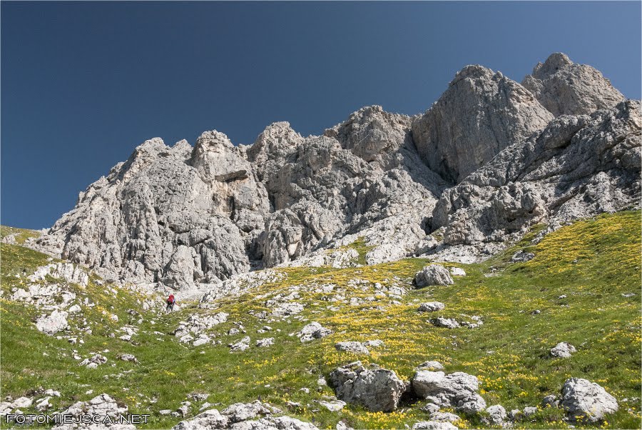 2013 08 05 vecchia cima val di roda gusella 0868