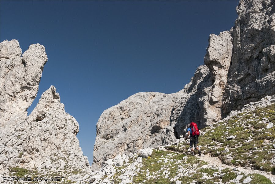 2013 08 05 vecchia cima val di roda gusella 0877