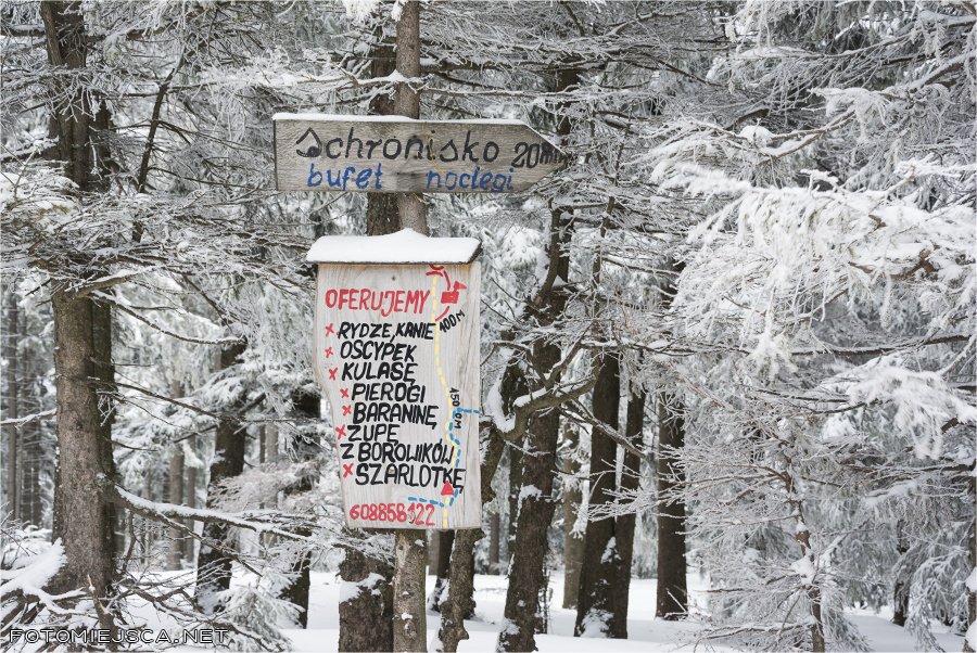 niebieski szlak na Jałowiec Hala Trzebuńska Beskid Makowski zima w górach