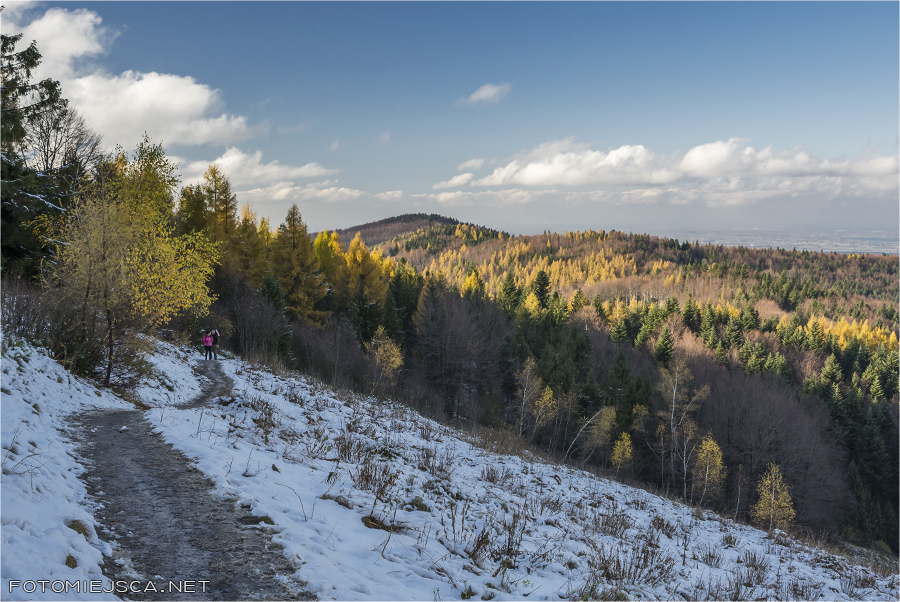 2019 11 11 leskowiec 2009