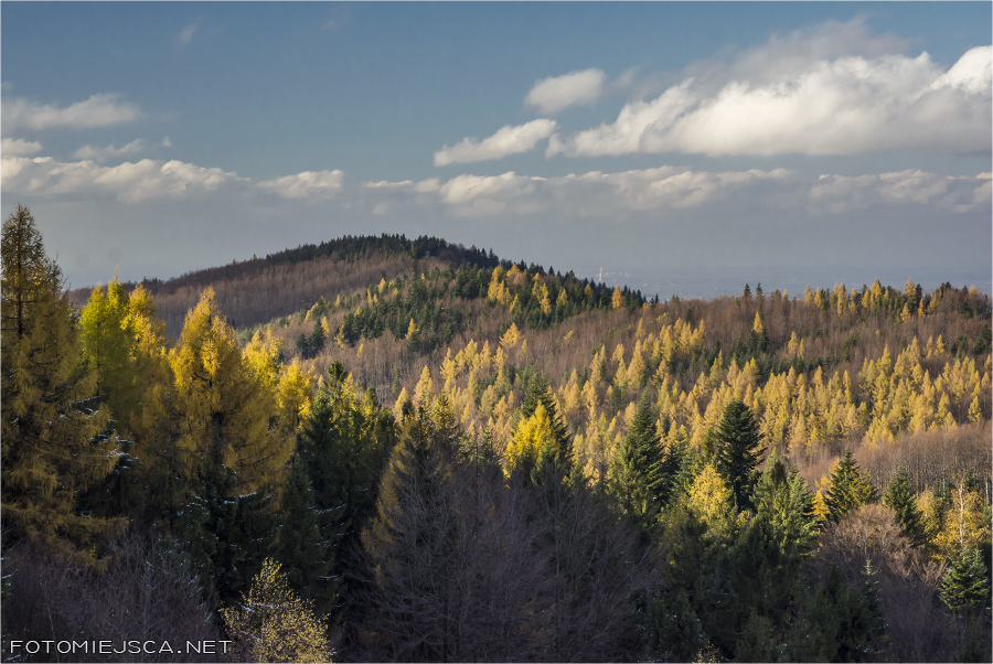 2019 11 11 leskowiec 2010