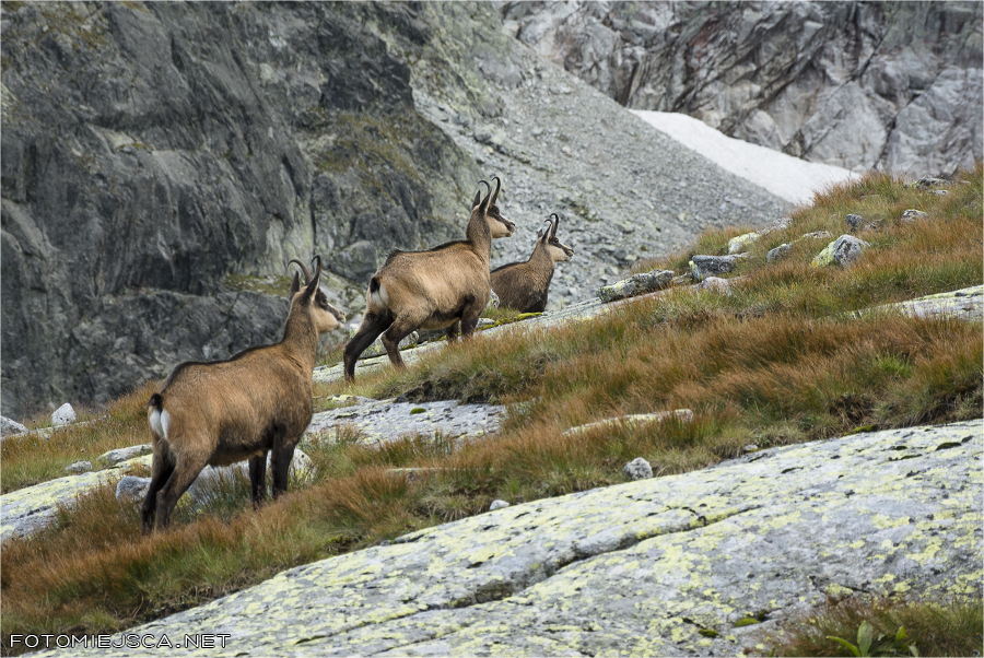 2014 08 29 lodowy szczyt 2167